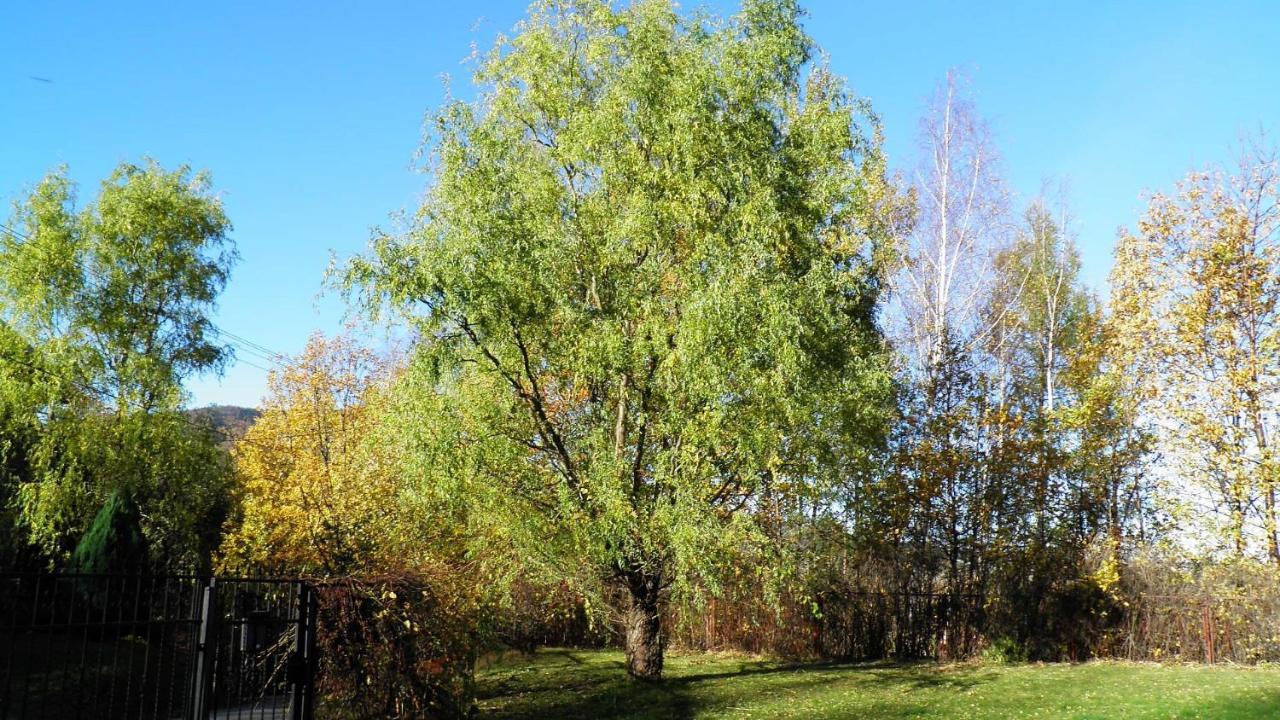 Podelniska Porąbka Exterior foto